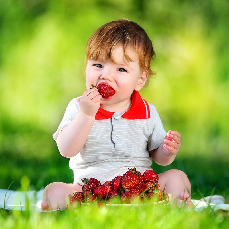 Fresh strawberries — whole foods at the heart of a family-friendly recovery plan