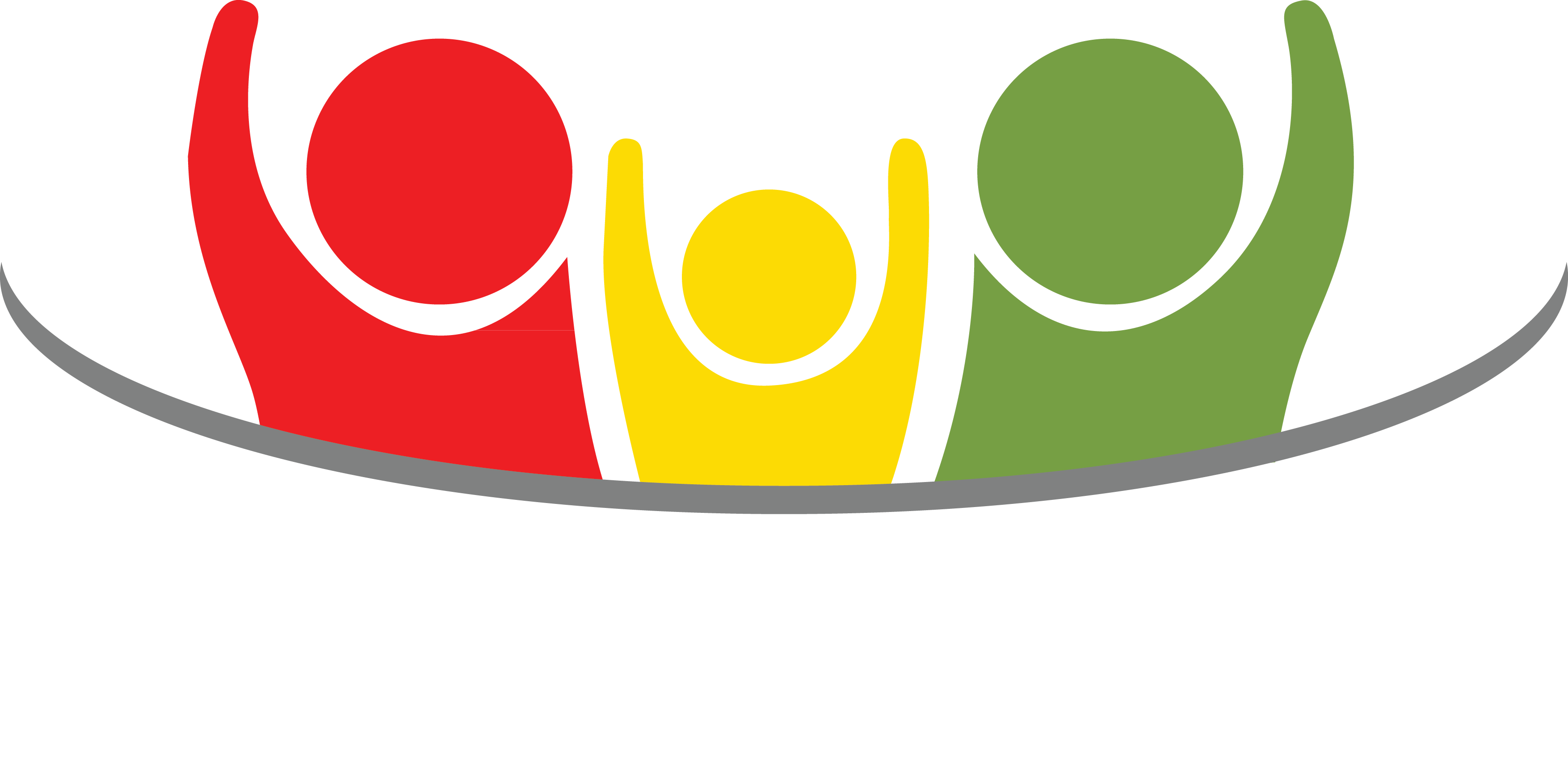 The Food Intolerance Clinic — Intolerance Testing